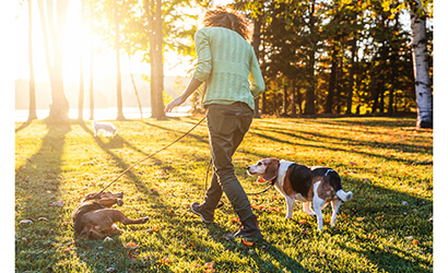 A woman is walking her dogs in a park